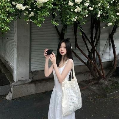 犯罪生涯